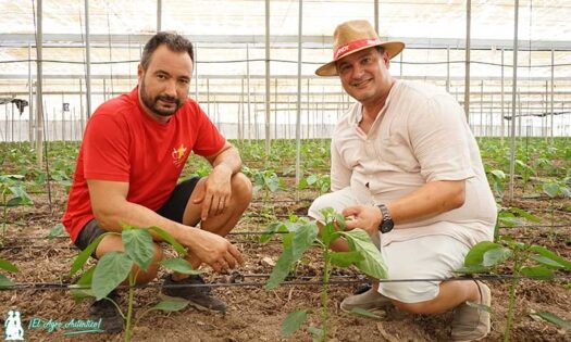 Brandt Reaction P en invernaderos de pimiento en la costa de Granada con Juan Jesús Maldonado / agroautentico.com