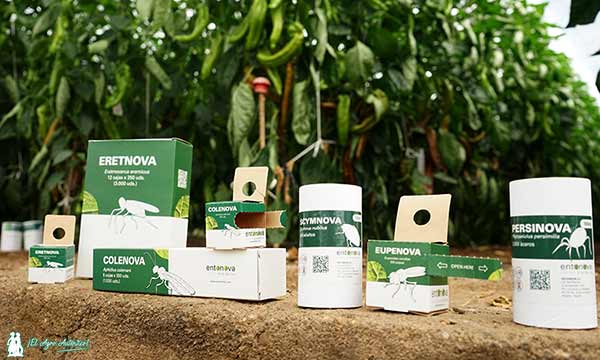 Entonova y sus nuevos formatos para suelta de enemigos naturales / agroautentico.com