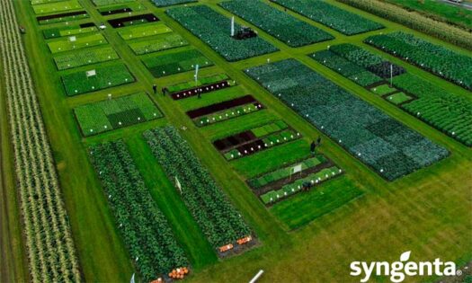 Fields of Innovation 2024 en Países Bajos