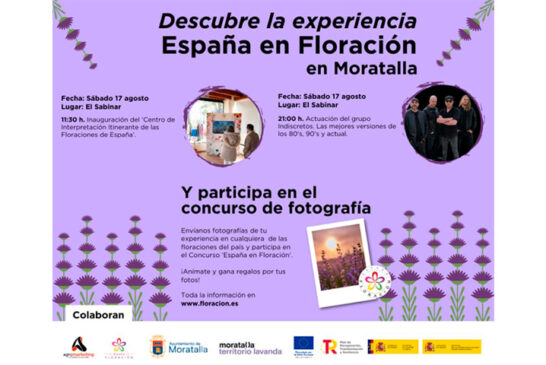 El Festival Lalavand de la lavanda de Moratalla acoge el ‘Tour Colores y Sabores de España’