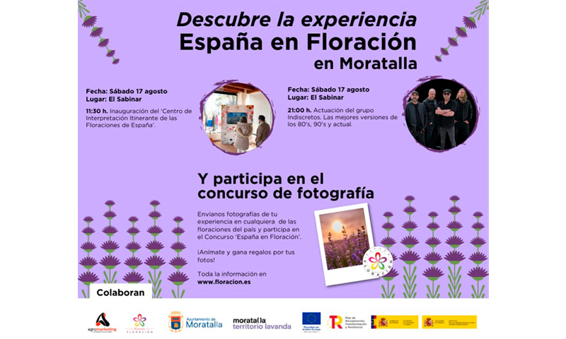 El Festival Lalavand de la lavanda de Moratalla acoge el ‘Tour Colores y Sabores de España’