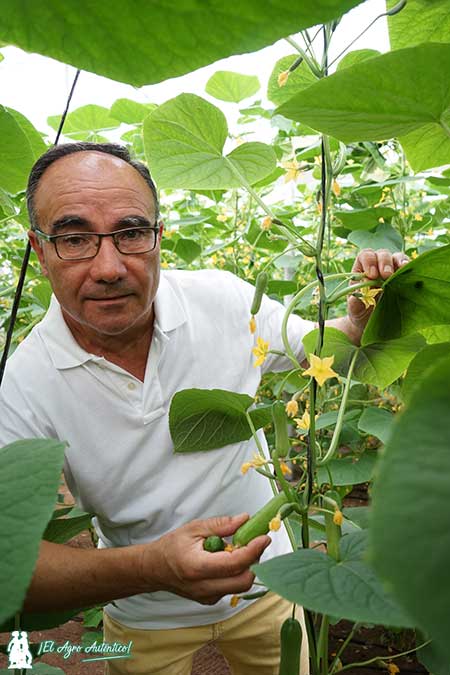 Juan Tomás Cano, presidente de la cooperativa Cohorsan de San Agustín / agroautentico.com