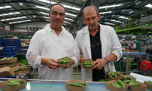 Juan Tomás y José Fernández con las tarrinas compostables de pepino snack de Unica / agroautentico.com