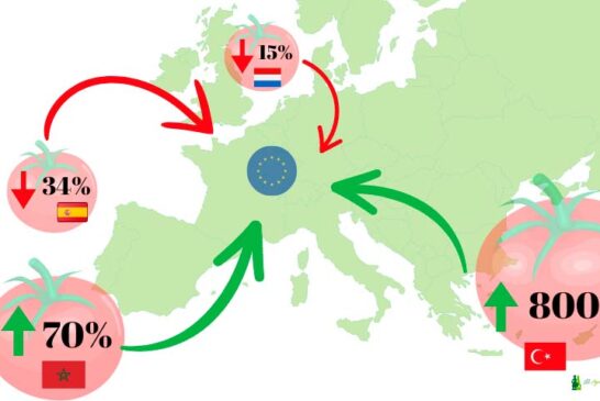 Marruecos y Turquía desplazan a España y Holanda en la exportación de tomate