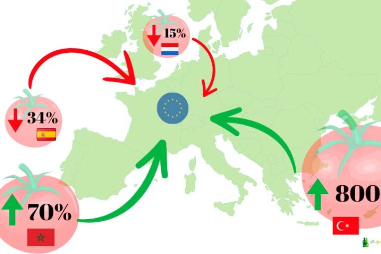 Marruecos y Turquía desplazan a España y Holanda en la exportación de tomate