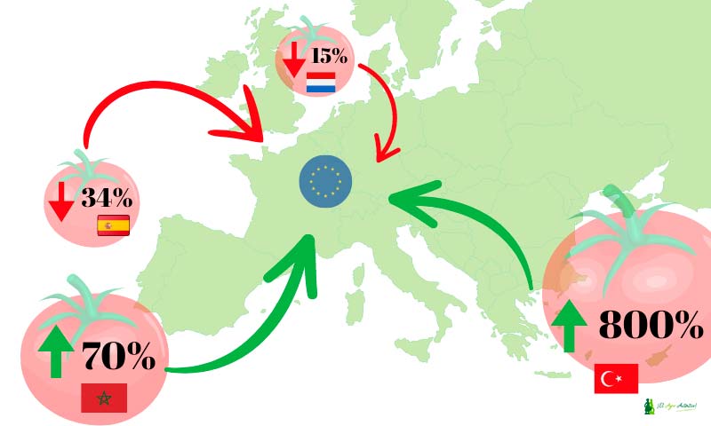 Marruecos y Turquía desplazan a España y Holanda en la exportación de tomate