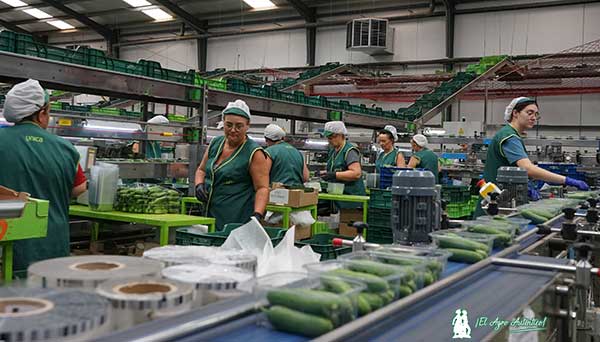 Nave de confección y envasado de la cooperativa Cohorsan / agroautentico.com