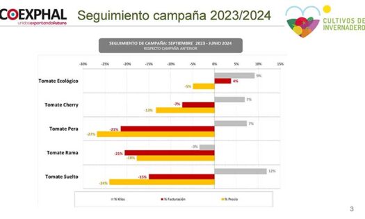 Gráfica sobre la evolución del tomate en Almería elaborada por Coexphal / agroautentico.com