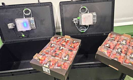 Proexport participa en el proyecto europeo Sisters contra el desperdicio alimentario