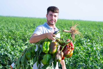 Ramiro Arnedo presenta al aire libre en Sevilla sus pimientos para industria y fresco