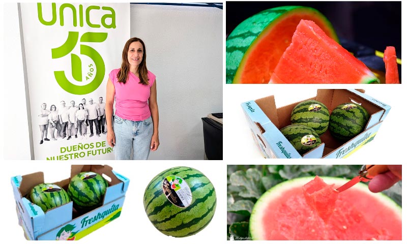 Unica consolida este verano en el mercado nacional su marca de sandía blanca Freshquita