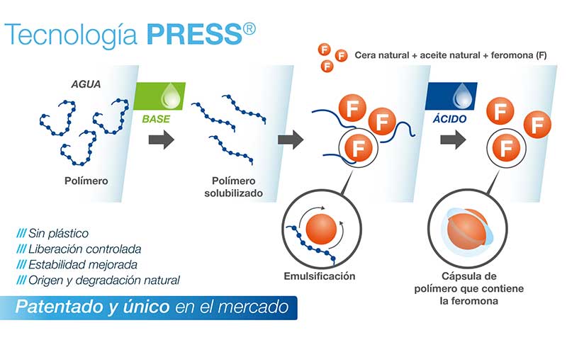 La microencapsulación de la feromona de Bayer prolonga su efecto frente a Tuta