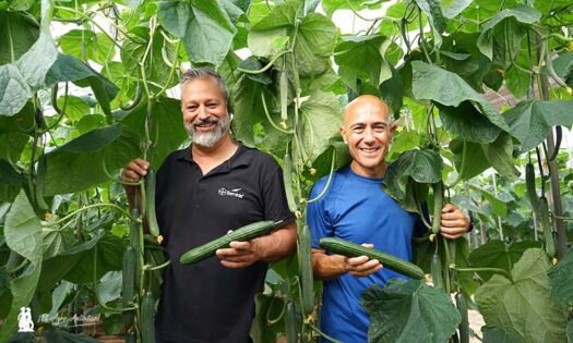 Juan Miguel Robles y Antonio Álvarez con la nueva variedad con quíntuple resistencia / agroautentico.com