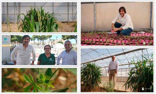 Nuevo curso 2024/25 en EFA Campomar / agroautentico.com