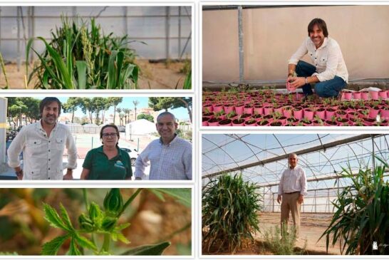 Campomar implementa este curso el concertado en Producción Agroecológica