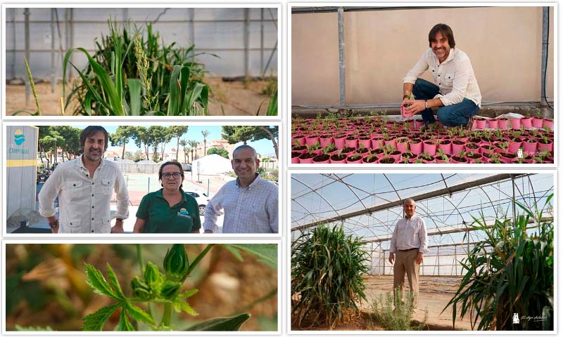 Campomar implementa este curso el concertado en Producción Agroecológica