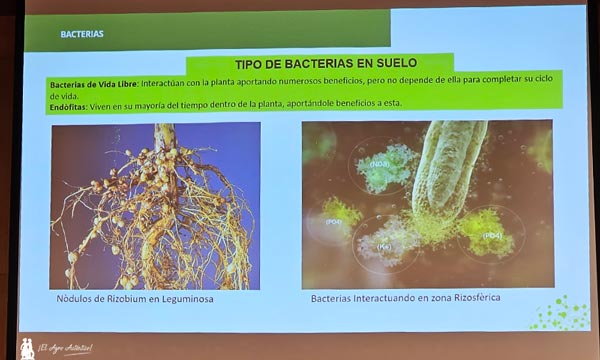 Hongos y bacterias impulsan una nueva revolución verde a través del biocontrol y la bionutrición 6