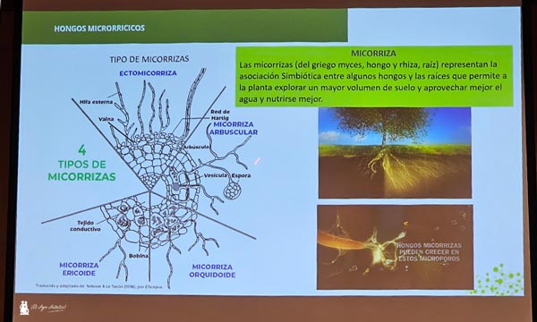 Hongos y bacterias impulsan una nueva revolución verde a través del biocontrol y la bionutrición 4