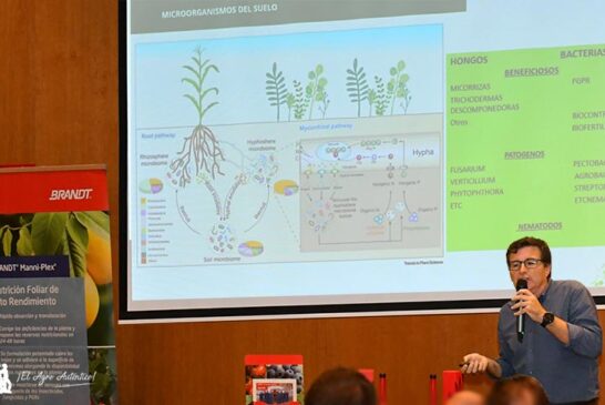 Hongos y bacterias impulsan una nueva revolución verde a través del biocontrol y la bionutrición