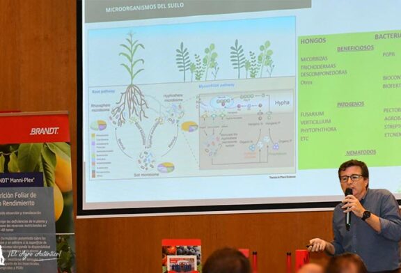 Hongos y bacterias impulsan una nueva revolución verde a través del biocontrol y la bionutrición