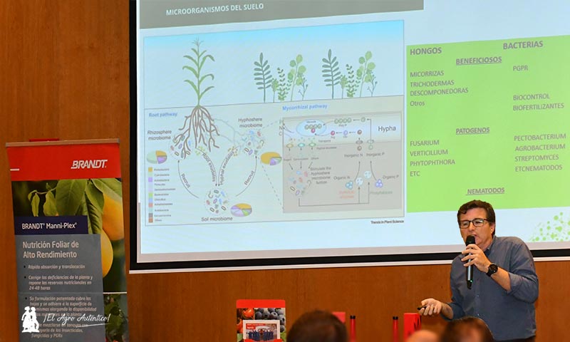 Hongos y bacterias impulsan una nueva revolución verde a través del biocontrol y la bionutrición