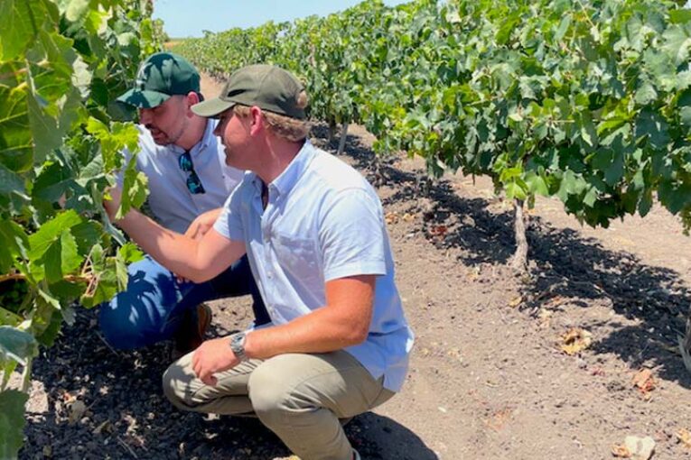 Koppert presenta su red mundial de fincas demostrativas y sus avances en IA