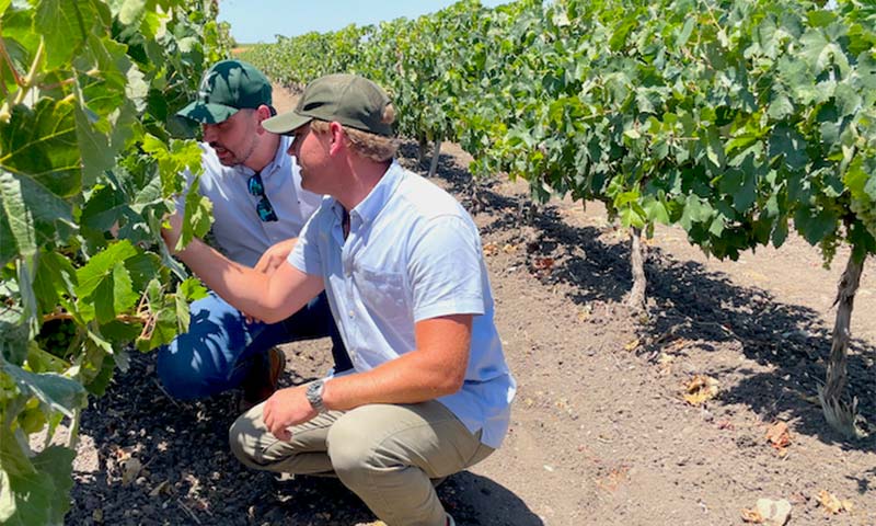 Koppert presenta su red mundial de fincas demostrativas y sus avances en IA -agroautentico.com