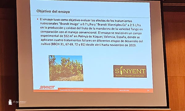 La agricultura es cuestión de rentabilidad con Brandt Europe-noticias-agroautentico.com