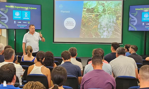 Plantec. Herramientas digitales de Bayer. Modelo de predicción de enfermedades basado en Inteligencia Artificial / agroautentico.com