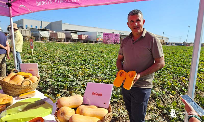 Aumenta un 18% la superficie de calabaza butternut en España