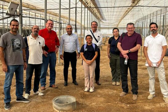 Técnicos agrícolas de Brasil se aproximan al ‘modelo Almería’