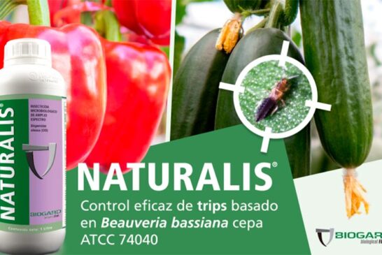 Biogard responde al trips y otras plagas con su insecticida Naturalis