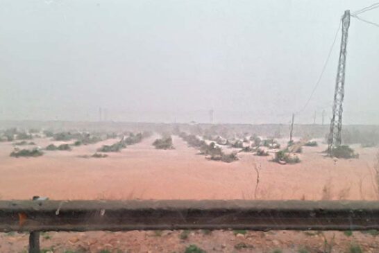 La DANA causa en Valencia pérdidas 