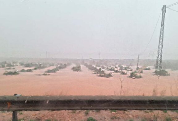 La DANA causa en Valencia pérdidas 