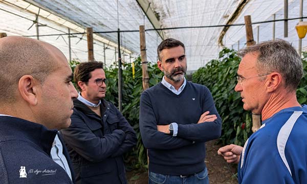 El agricultor almeriense Juan Berenguer con Francisco Góngora y Ramón Fernández-Pacheco / agroautentico.com