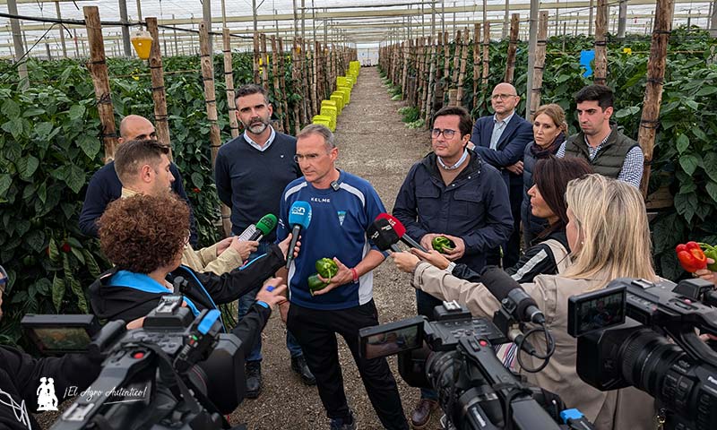 DANA en los invernaderos de El Ejido. El consejero andaluz Ramón Ramón Fernández-Pacheco y el alcalde ejidense Paco Góngora visitan una finca afectada por el granizo / agroautentico.com