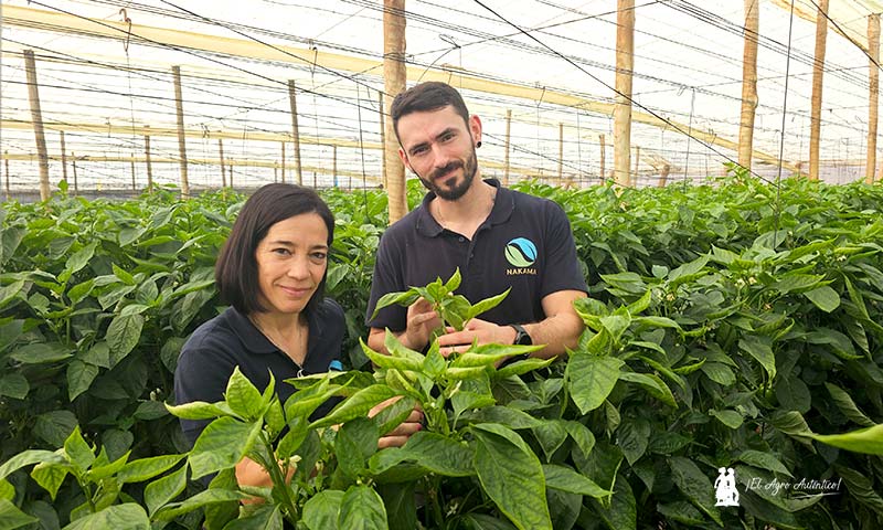 Helena Piñar y Carlos Cáceres, fitopatólogos y fundadores de Nakama / agroautentico.com