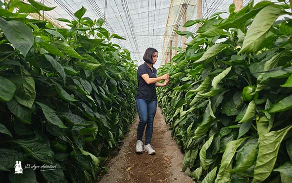 Helena Piñar Trenado es viróloga en Almería / agroautentico.com