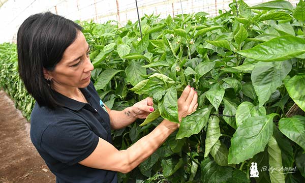 Helena Piñar, viróloga y cofundadora de Nakama / agroautentico.com