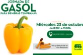 Día 23 de octubre. Jornada de pimiento de Semillas Fitó