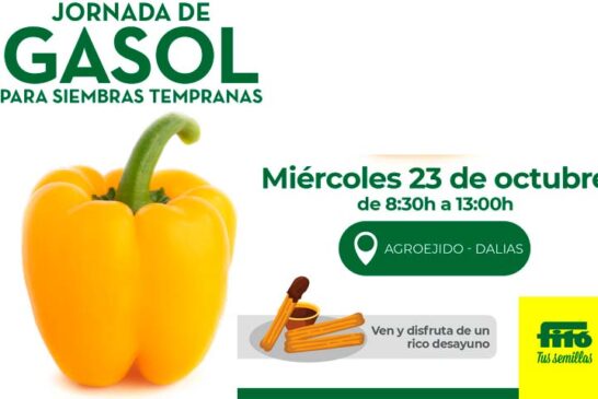 Día 23 de octubre. Jornada de pimiento de Semillas Fitó