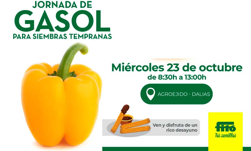 Día 23 de octubre. Jornada de pimiento de Semillas Fitó