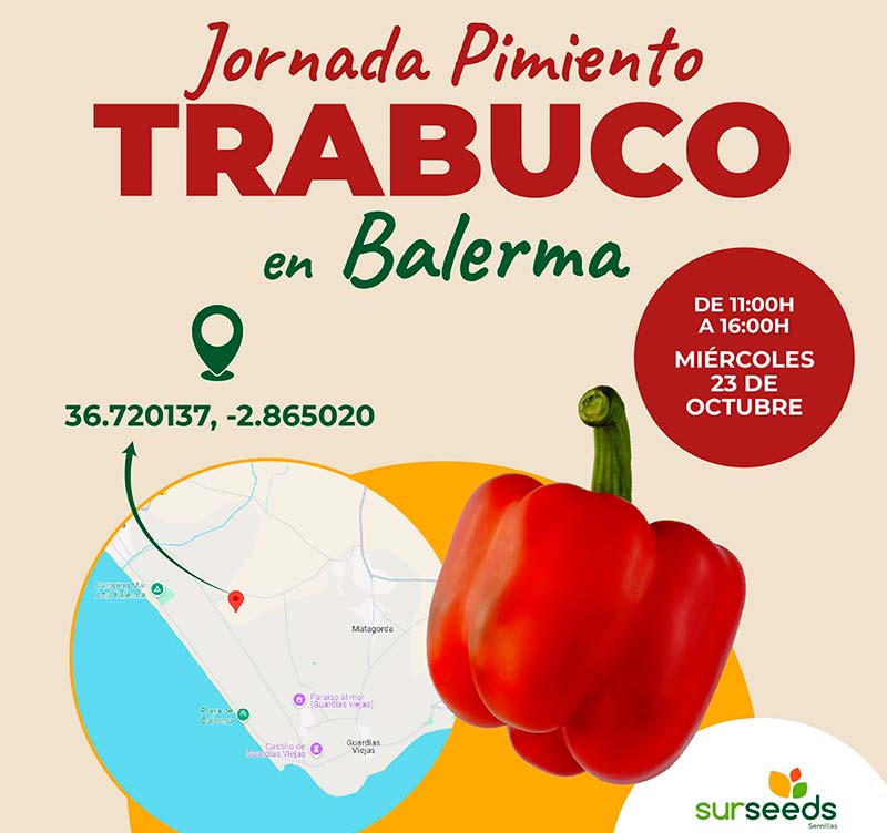 Día 23 de octubre. Jornada de pimiento Trabuco de Sur Seeds