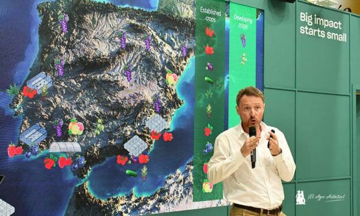 Koppert demuestra cómo el control biológico transforma la productividad agrícola - noticias-agroautentico