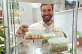 El laboratorio in vitro de Nogalnature a pequeña escala en Madrid