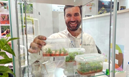 Daniel Corzo muestra algunas aplicaciones del laboratorio in vitro de Nogalnature / agroautentico.com