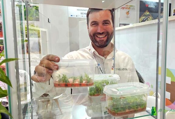 El laboratorio in vitro de Nogalnature a pequeña escala en Madrid