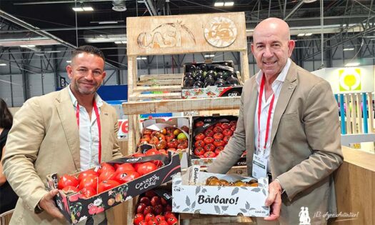 Tomates de CASI en Fruit Attraction 2024 / agroautentico.com