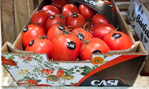 Tomates de CASI en Fruit Attraction 2024 / agroautentico.com