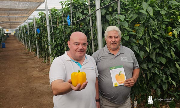 Jornadas de campo de Semillas Fitó en Dalías